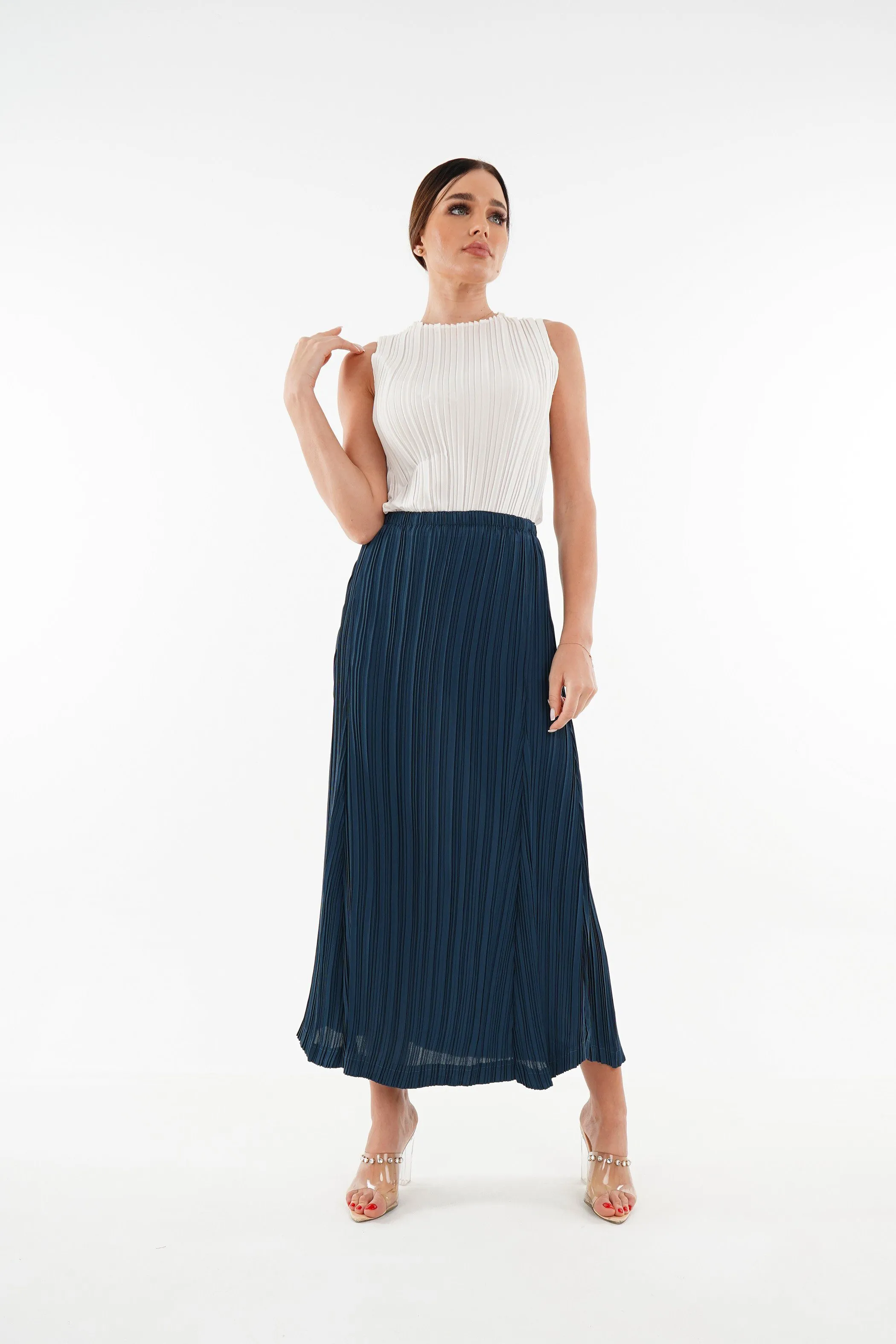 Emmy A-Line Pleated Skirt